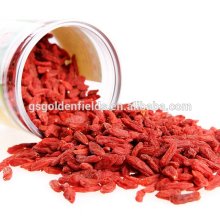 Oferta Goji Berry fresca / seca / orgánica Gojiberry